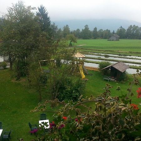 Wieselmuehle Forellenhof Grünau im Almtal 外观 照片